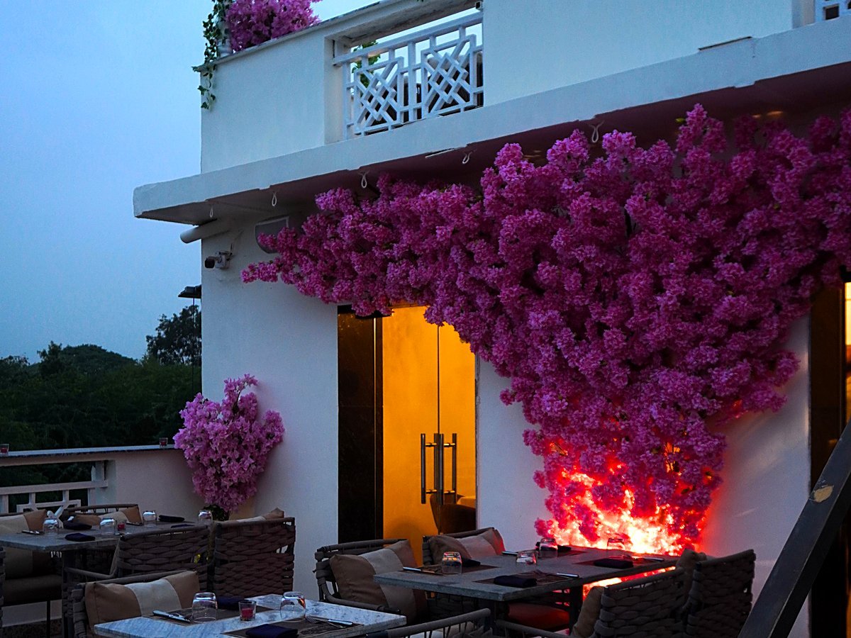 Alora Delhi rooftop lounge at night with bougainvillea
